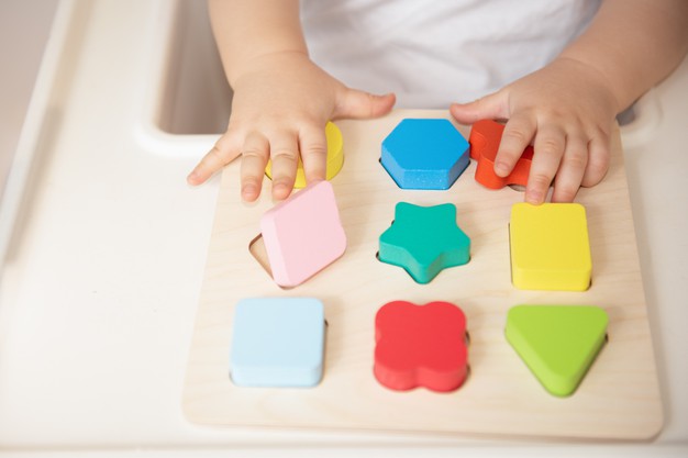 Jouet enfant bebe Montessori 1 2 3 ans-Puzzle bois Fille Garcon